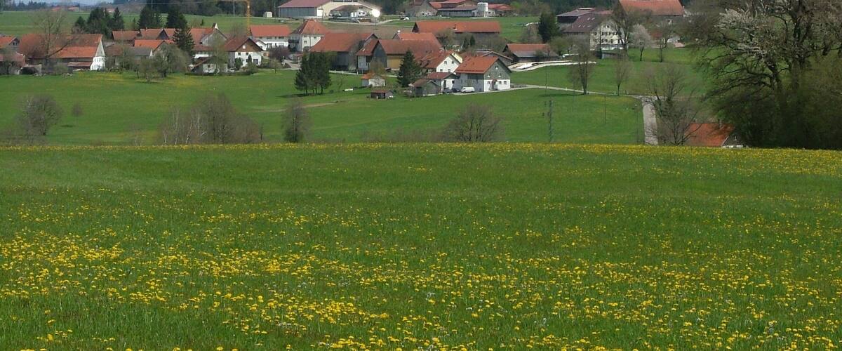 A rural village with red-roofed houses, green fields, and a cloudy sky.