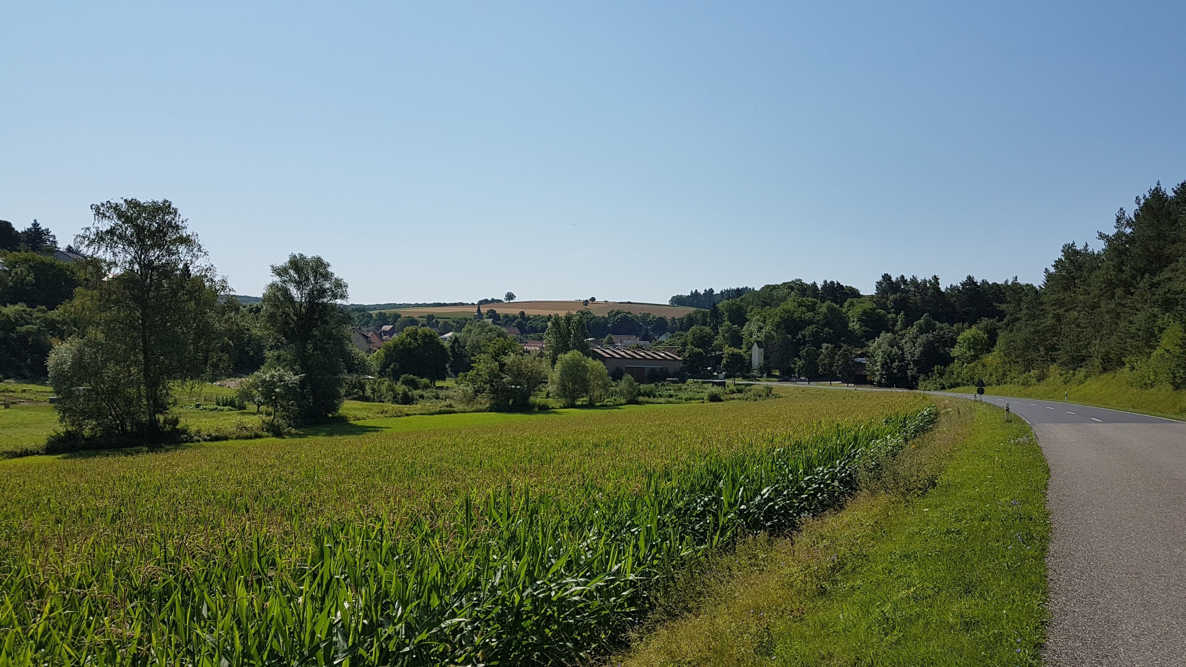 A rural landscape with a winding road, green fields, and scattered trees.