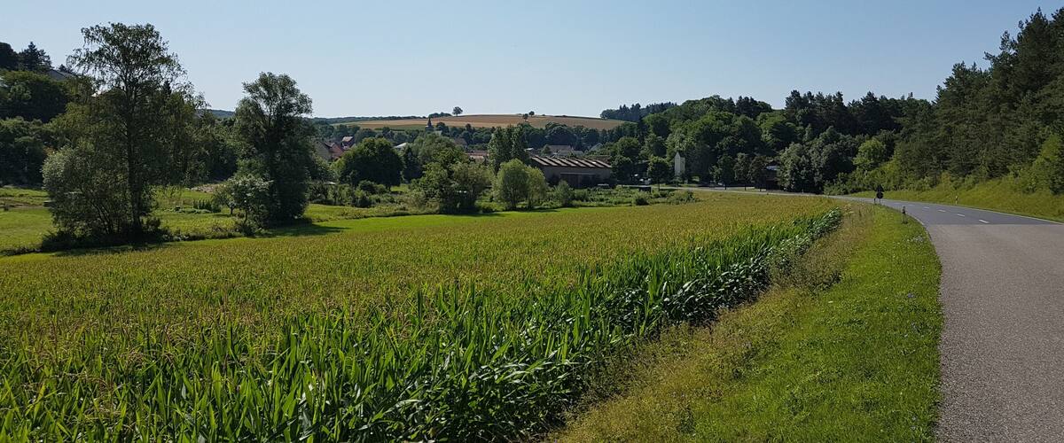 A rural landscape with a winding road, green fields, and scattered trees.