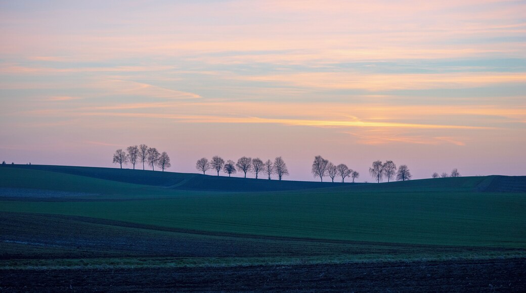 Bonfeld (Ortsteil von Bad Rappenau): Landschaft mit Baumreihe nördlich des Dorfes, von Osten von der Straße nach Bad Rappenau (K 2120) aus gesehen, im letzten Licht eines Märzabends.