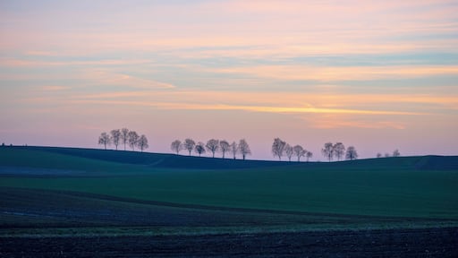 Bonfeld (Ortsteil von Bad Rappenau): Landschaft mit Baumreihe nördlich des Dorfes, von Osten von der Straße nach Bad Rappenau (K 2120) aus gesehen, im letzten Licht eines Märzabends.