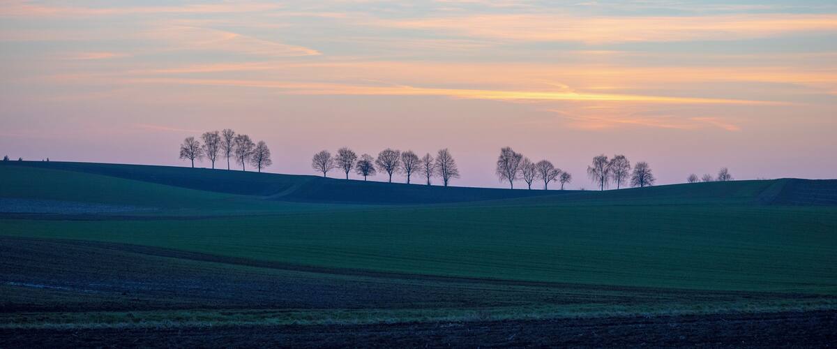 A sunset over a rolling landscape with a row of trees on a hill.