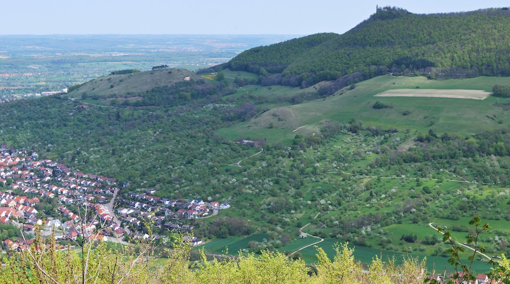Owen and the castle Teck at the Albtrauf of the Swabian Alb in Baden-Württemberg.The mountain Teckberg and its smaller neighbour Hohenbol are both extinct volcanoes. Except for the meadow orchards on the slopes the area is protected as a Naturschutzgebiet.