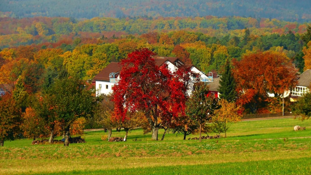 Une maison entourée d’arbres aux couleurs automnales, dans un paysage rural.