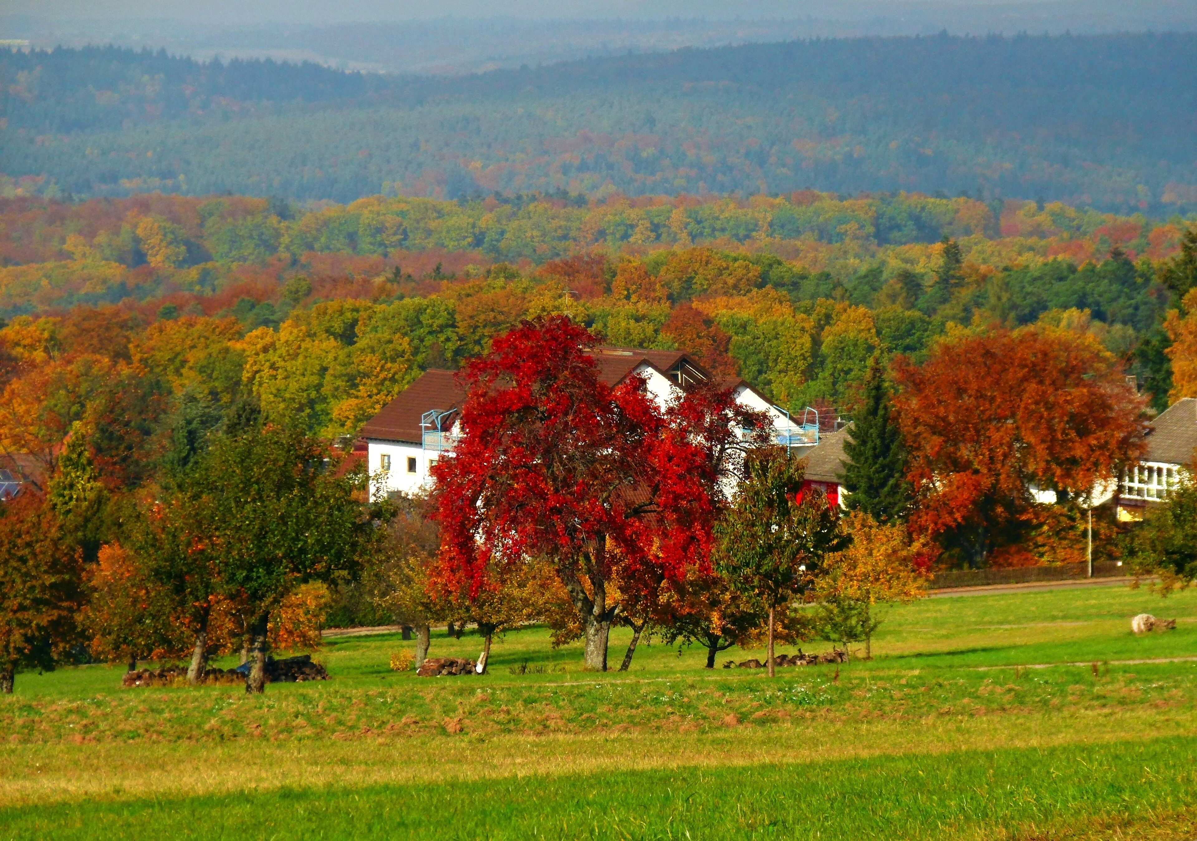 A house surrounded by autumn-colored trees in a rural landscape.
