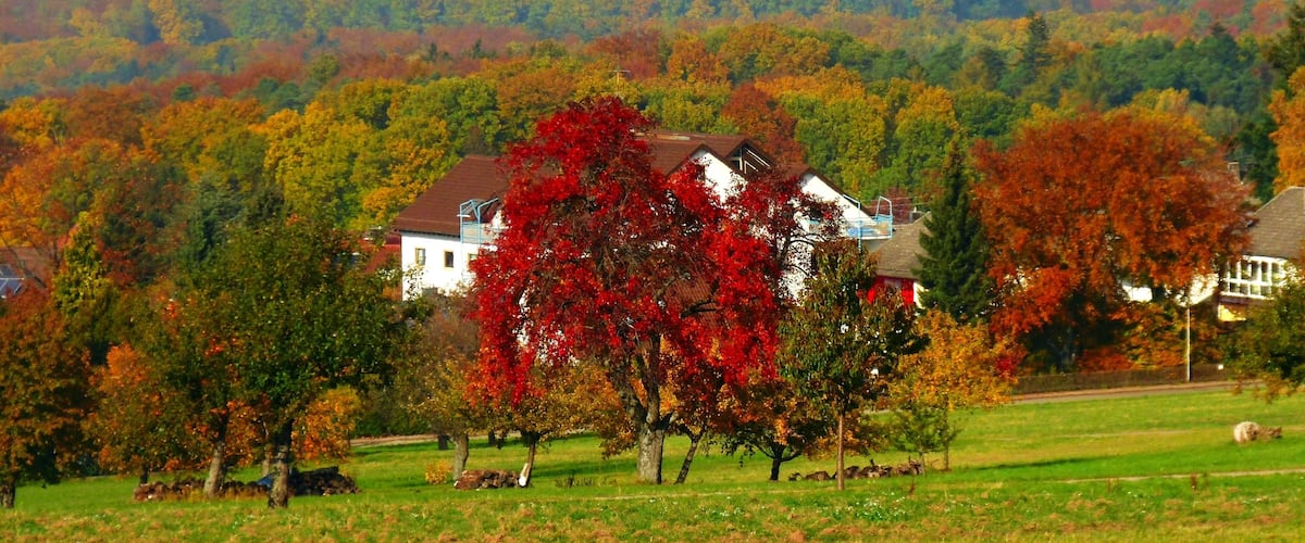 A house surrounded by autumn-colored trees in a rural landscape.