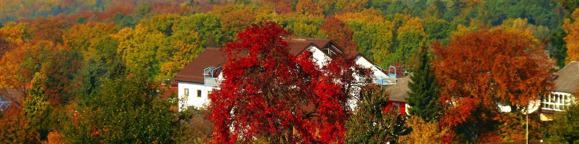 A house surrounded by autumn-colored trees in a rural landscape.