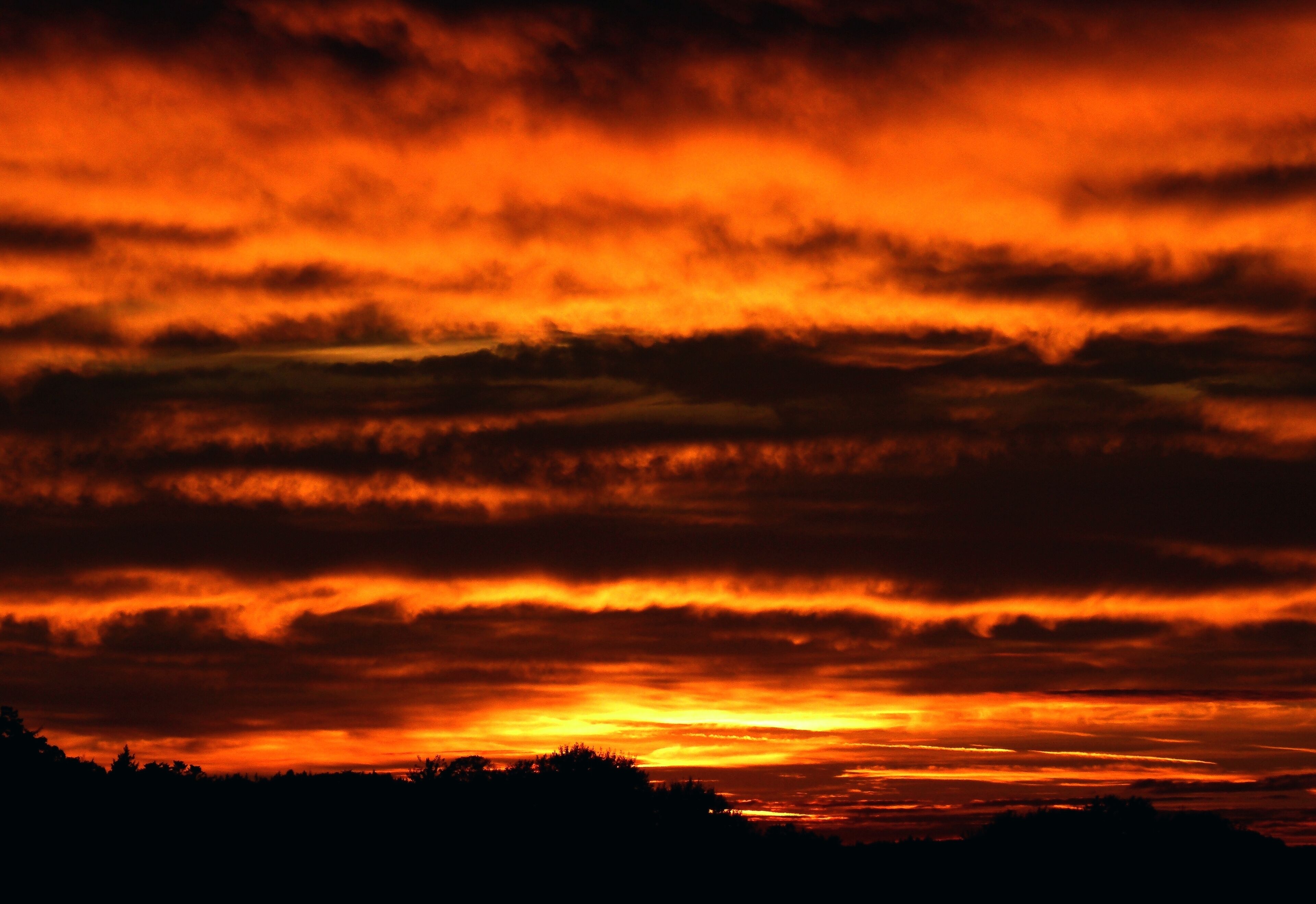 I'd Never Seen Like This Before