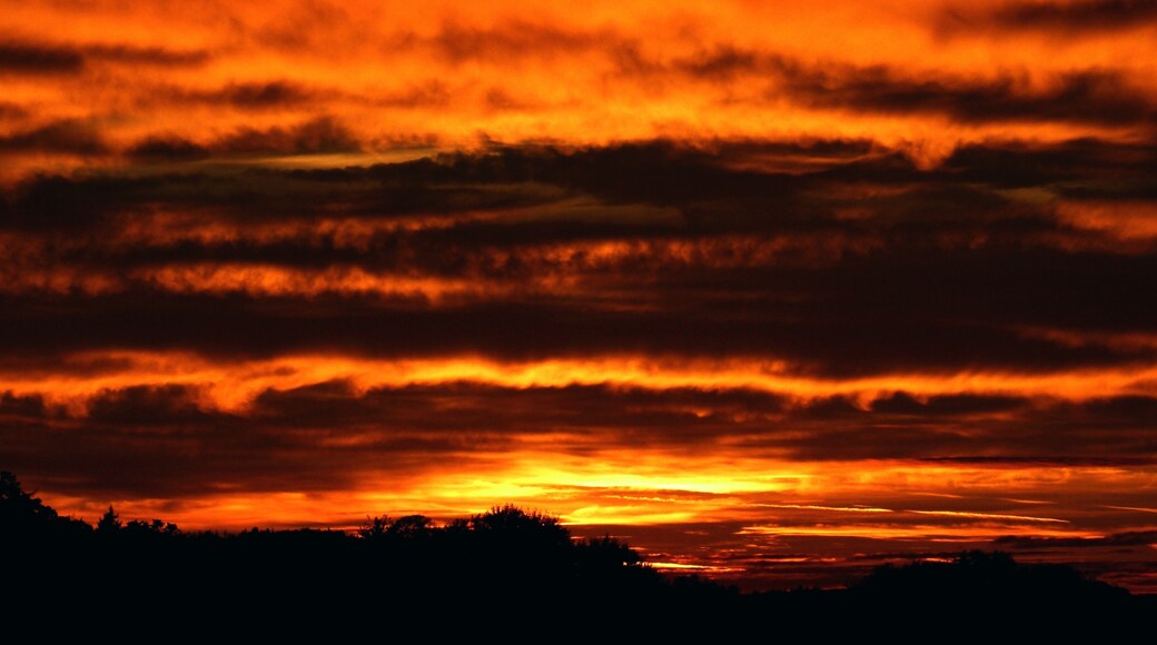 I'd Never Seen Like This Before