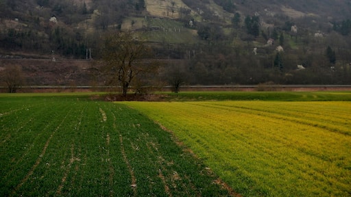 Neckartal-Weg, Odenwald-Madonnen-Weg, 3 Länder-Radweg, Burgenstraße, Paneuropa-Radweg, 3 Täler Radweg, Kurpfalzachse