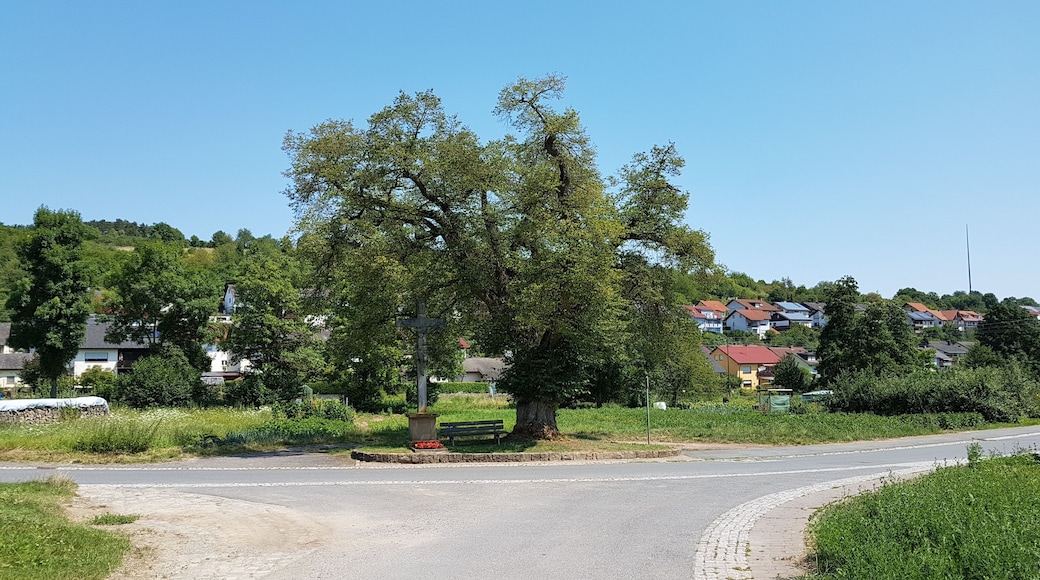 Der Lindenbaum ist ein eingetragenes Naturdenkmal (Einzelgebilde). Unter dem Baum befindet sich ein Steinkreuz. Es handelt sich um die Nr. 20 der in der Dittwarer Ortschronik beschriebenen Bildstöcke und Denkmäler (siehe: Ortschronik). Das Kreuz an den "Krautgärten" ist etwa vier Meter hoch und wurde 1872 mit der Schrift: "Zu Ehren des gekreuzigten Heilandes errichtet von Anton Holler" aufgestellt. Es steht unter einem gewaltigen Lindenbaum, dessen Alter man auf bis zu 400 Jahre schätzt.