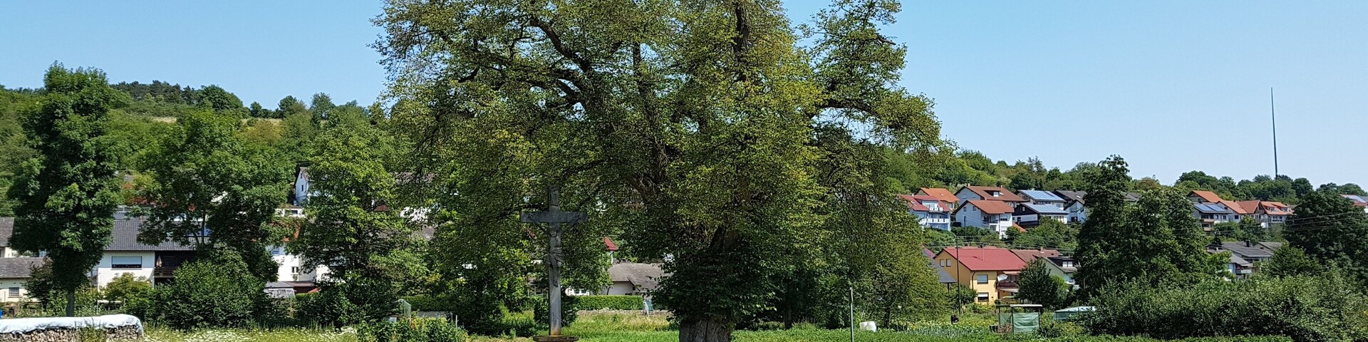 Der Lindenbaum ist ein eingetragenes Naturdenkmal (Einzelgebilde). Unter dem Baum befindet sich ein Steinkreuz. Es handelt sich um die Nr. 20 der in der Dittwarer Ortschronik beschriebenen Bildstöcke und Denkmäler (siehe: Ortschronik). Das Kreuz an den "Krautgärten" ist etwa vier Meter hoch und wurde 1872 mit der Schrift: "Zu Ehren des gekreuzigten Heilandes errichtet von Anton Holler" aufgestellt. Es steht unter einem gewaltigen Lindenbaum, dessen Alter man auf bis zu 400 Jahre schätzt.