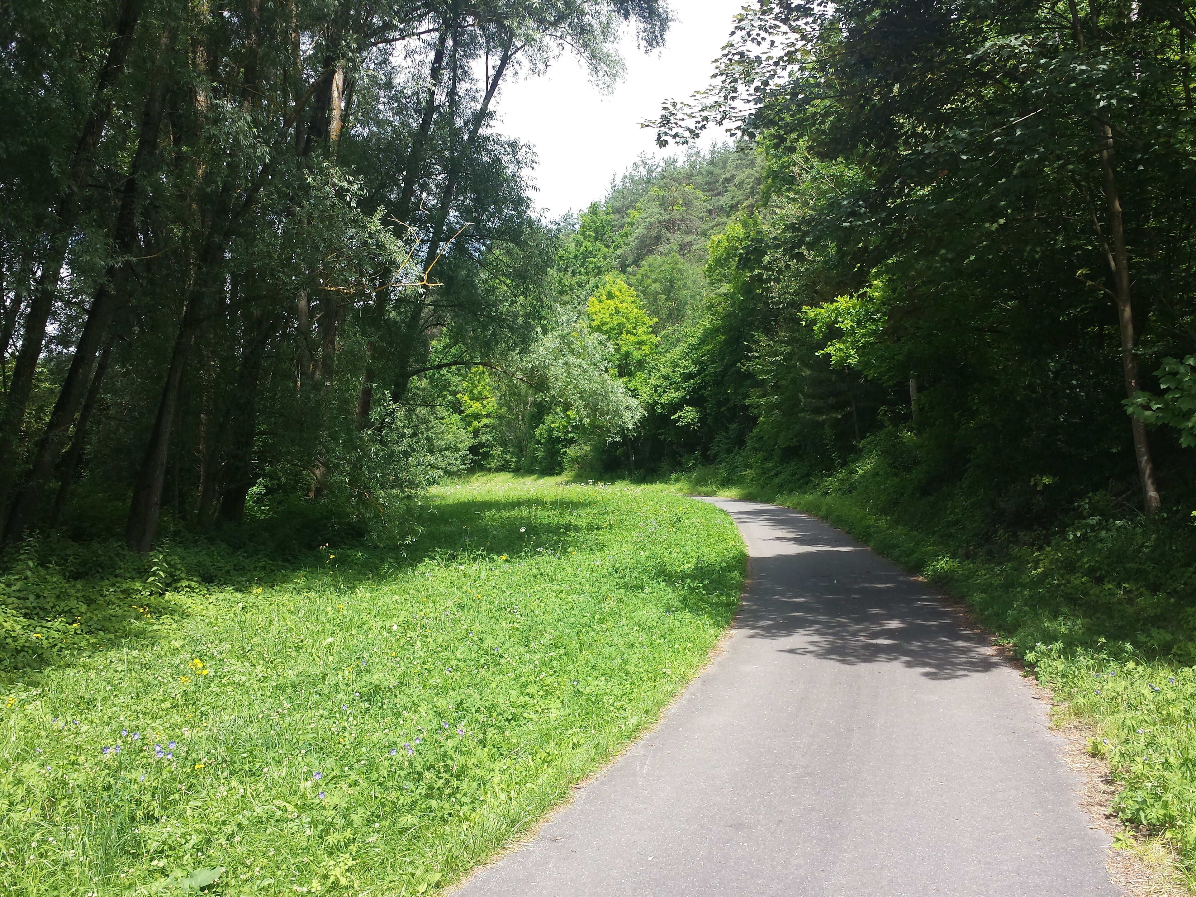 Muckbachtalradweg von Dittwar nach Tauberbischofsheim.