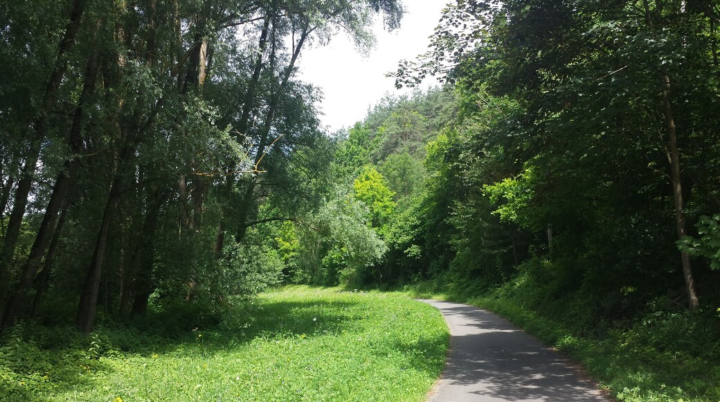 Muckbachtalradweg von Dittwar nach Tauberbischofsheim.