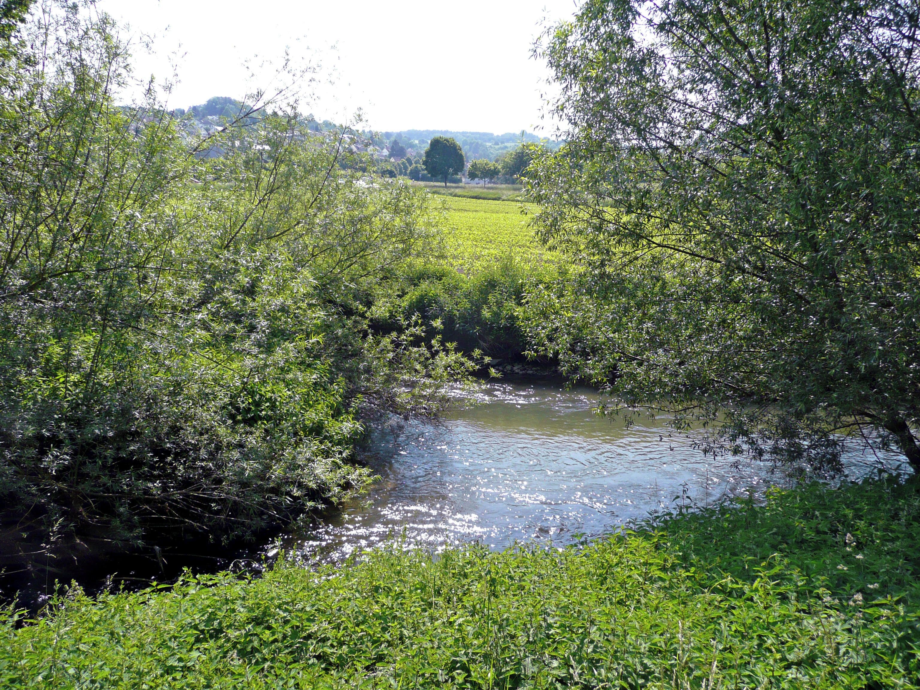 Die Schwippe fließt in die Würm.