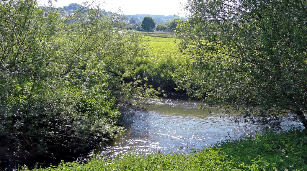 Die Schwippe fließt in die Würm.