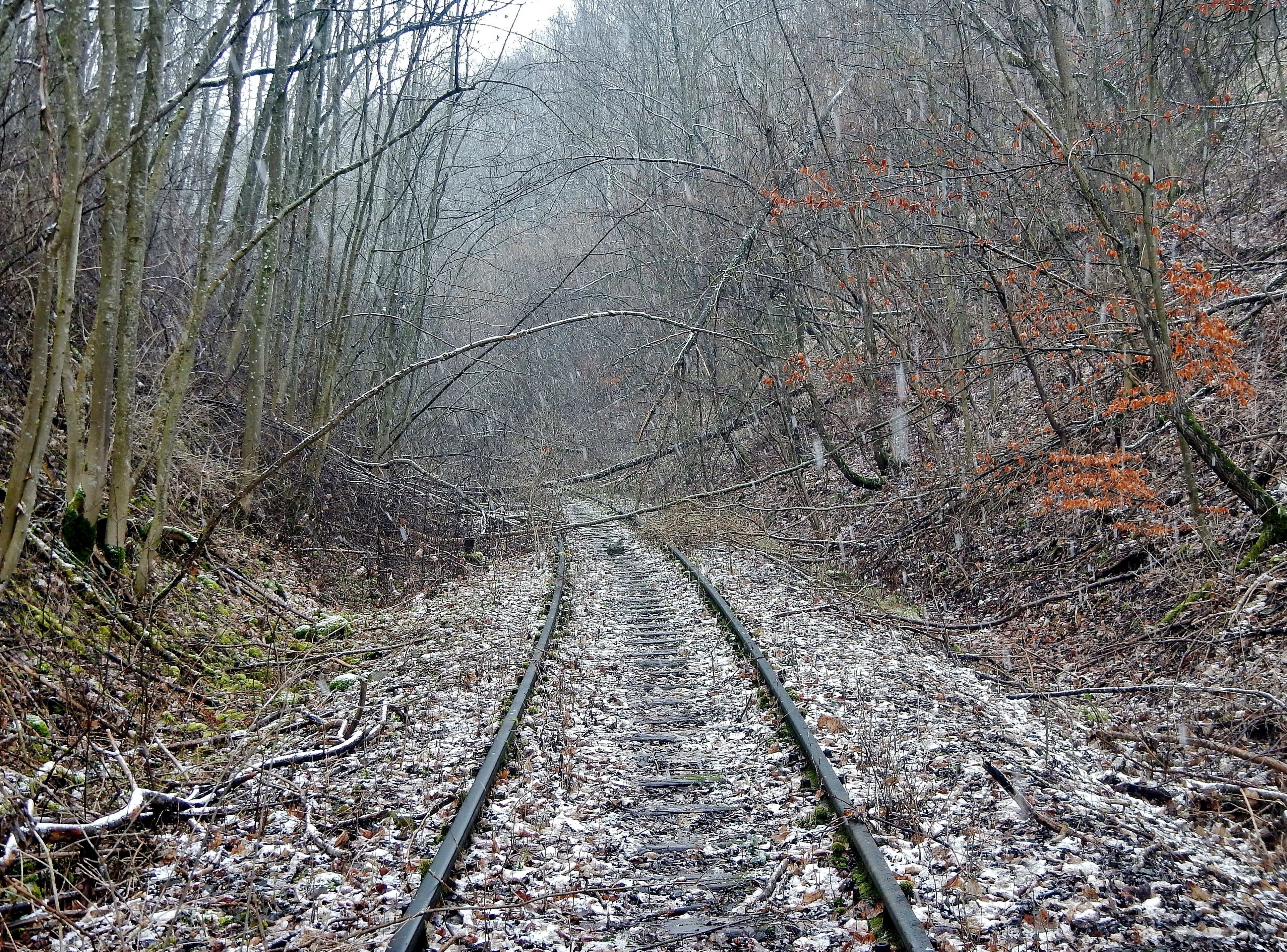 Hermann-Hesse-Bahn, S-Bahn Fertigstellung spätestens 2019 geplant , ehemalig:Württembergische Schwarzwaldbahn, Stuttgart Calw, eröffnet 1872, eingestellt 1983