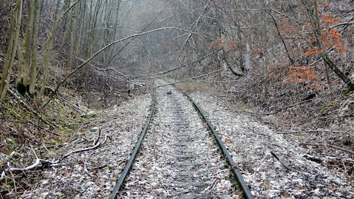 Hermann-Hesse-Bahn, S-Bahn Fertigstellung spätestens 2019 geplant , ehemalig:Württembergische Schwarzwaldbahn, Stuttgart Calw, eröffnet 1872, eingestellt 1983