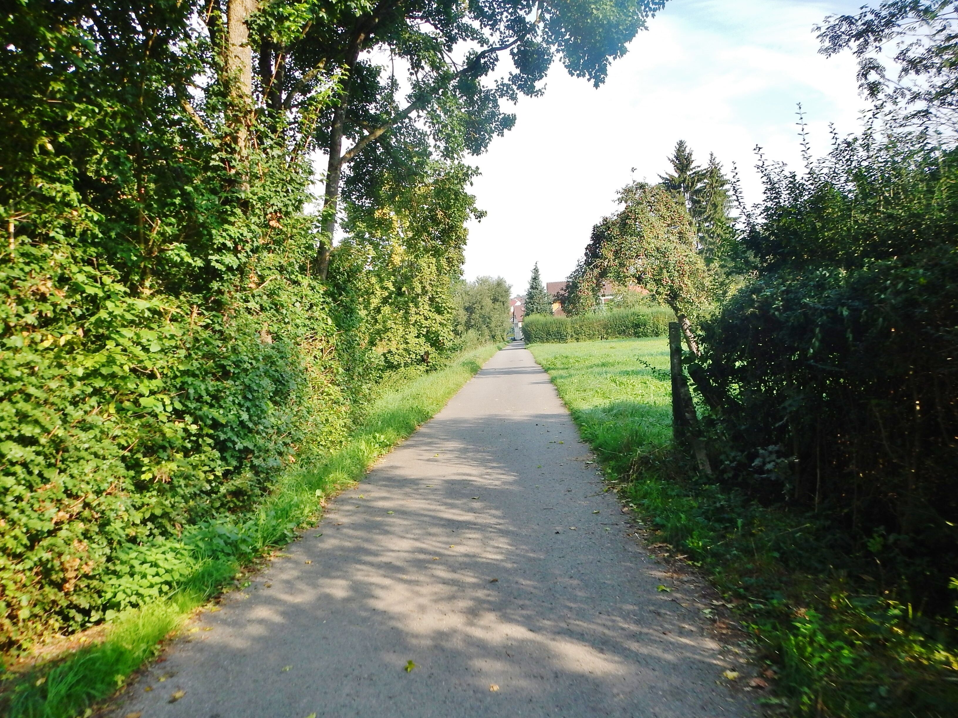 Radweg bei Grafenau