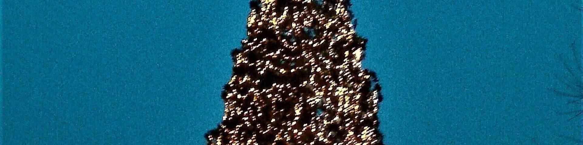 Chrismas tree of Eichsel 2017, view from ENE.