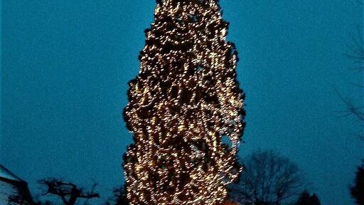 Chrismas tree of Eichsel 2017, view from ENE.
