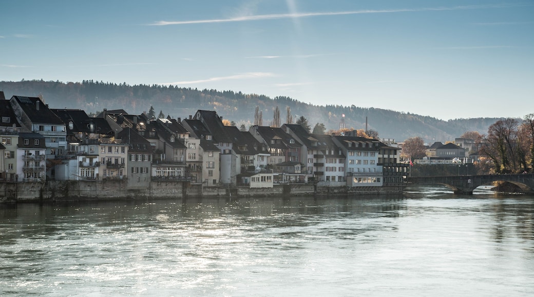 A river with houses along the banks, a bridge, and a forested hill in the background.