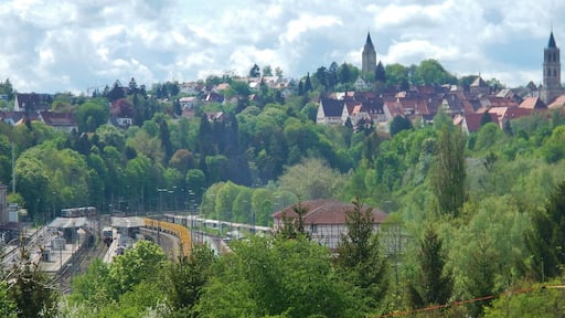 Beim 366 km langen Neckartalradweg: Rottweil