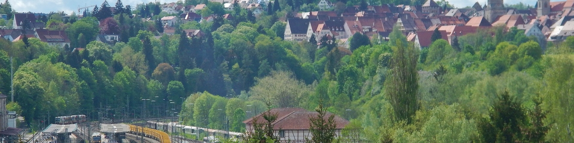 Beim 366 km langen Neckartalradweg: Rottweil