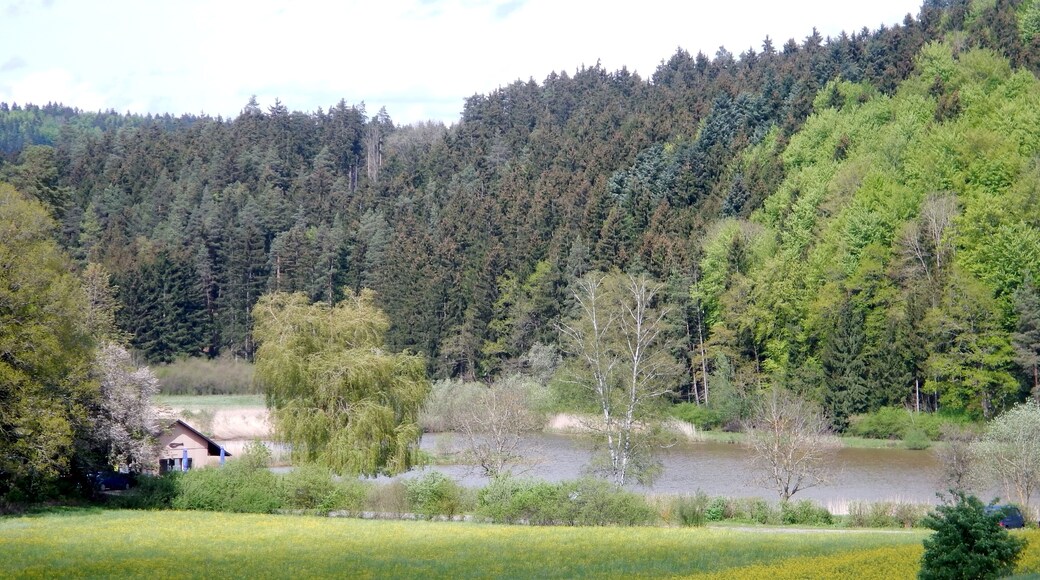 Linsenbergweiher