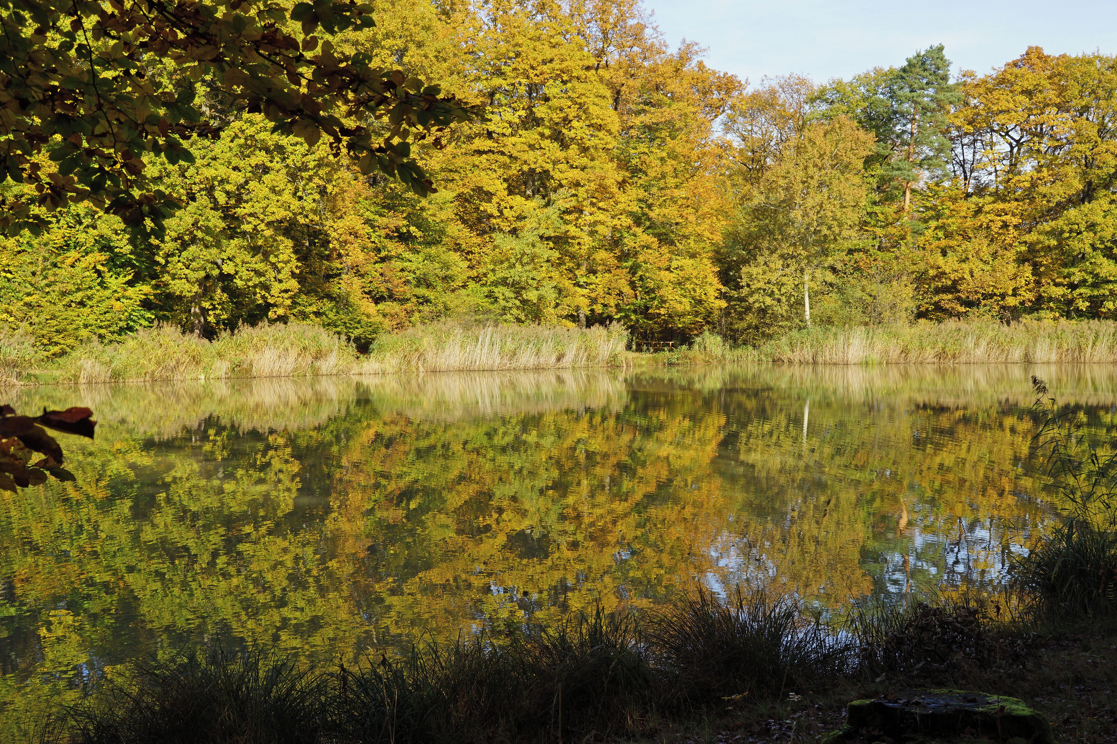 Hamberger-See 11/2014