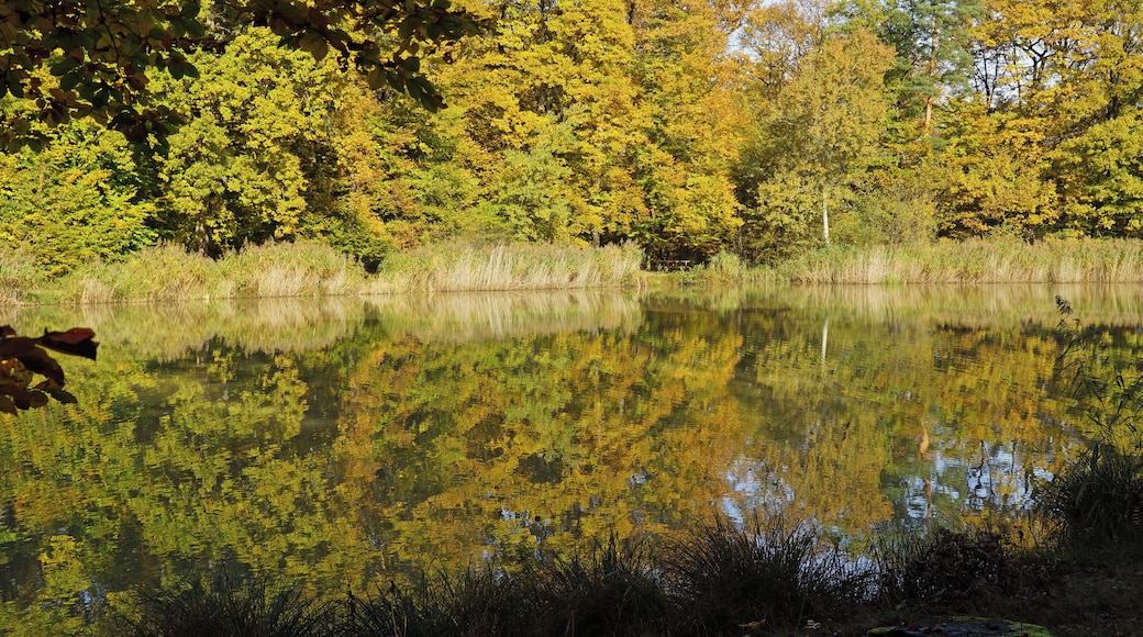 Hamberger-See 11/2014