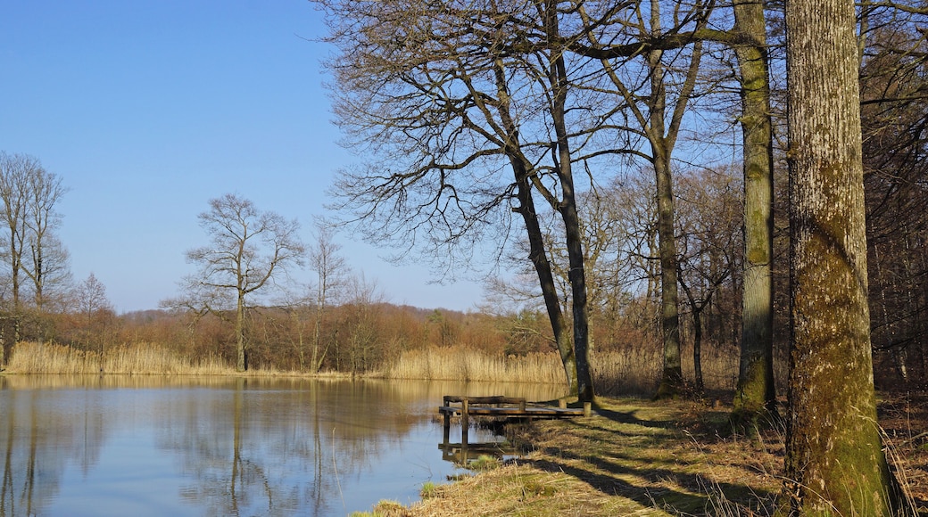 Hamberger See 03/2016
