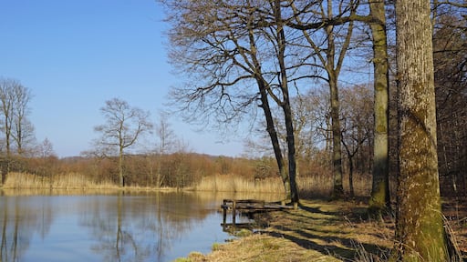 Hamberger See 03/2016
