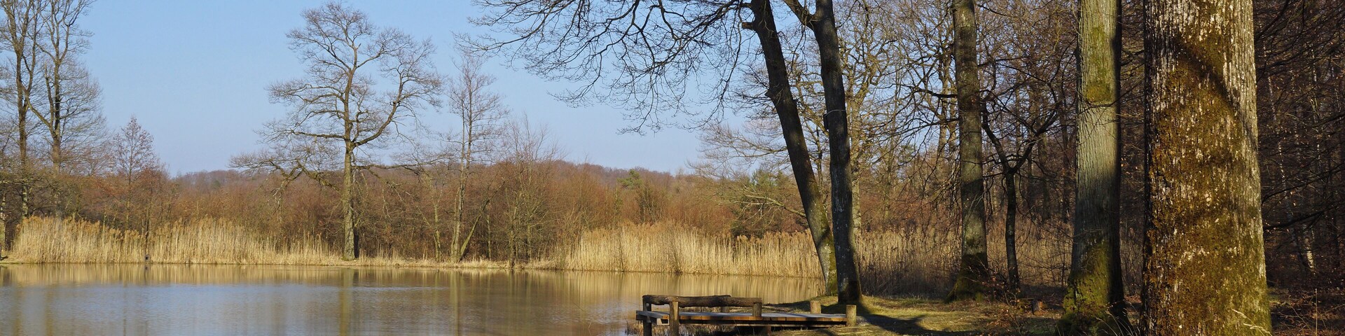 Hamberger See 03/2016