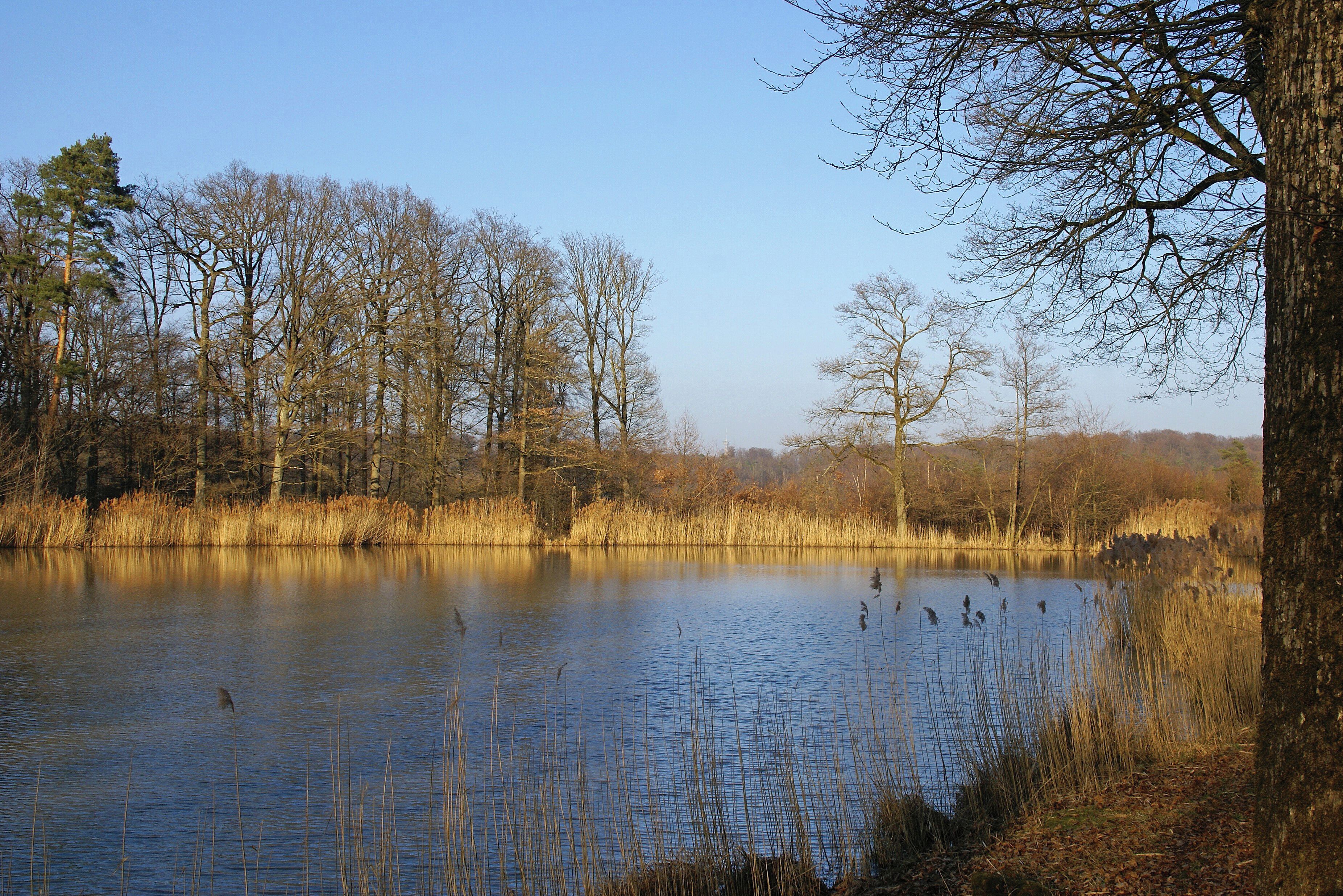 Hamberger-See 03/2014