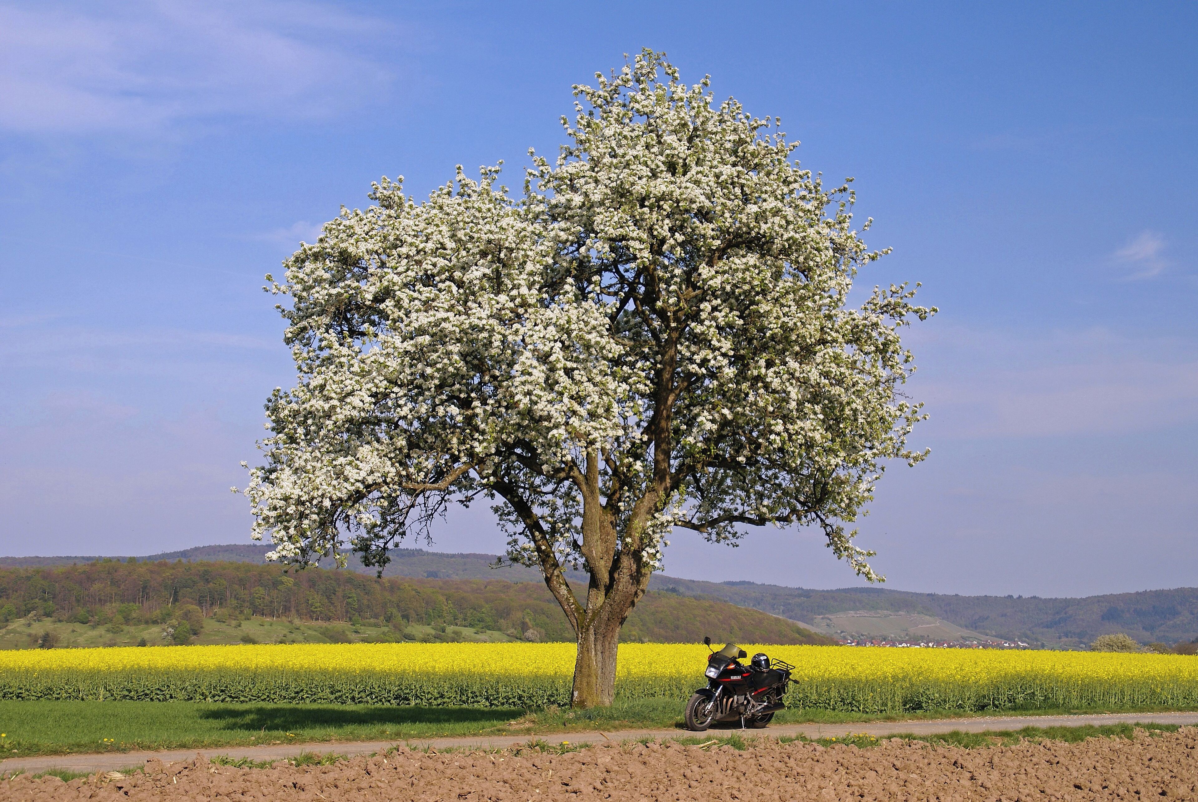 Häfnerhaslach 04/2014