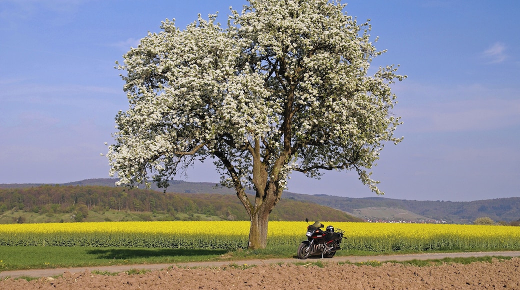 Häfnerhaslach 04/2014