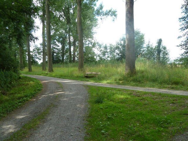 Waldweg neben der Pfinz