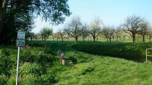 Der "Alte Bach" und Obstwiesen am Pfinzentlastungskanal