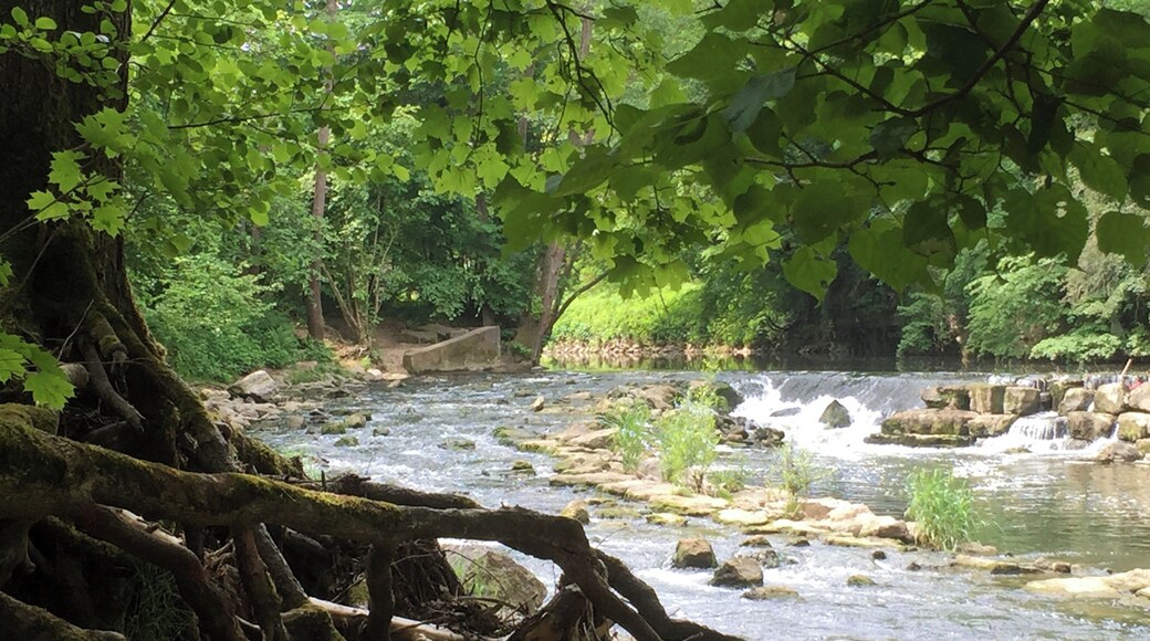 Fischtreppe an der Rems bei Waiblingen