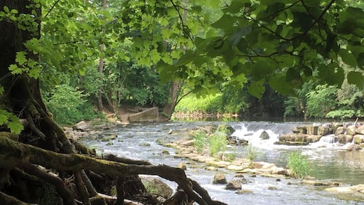 Fischtreppe an der Rems bei Waiblingen
