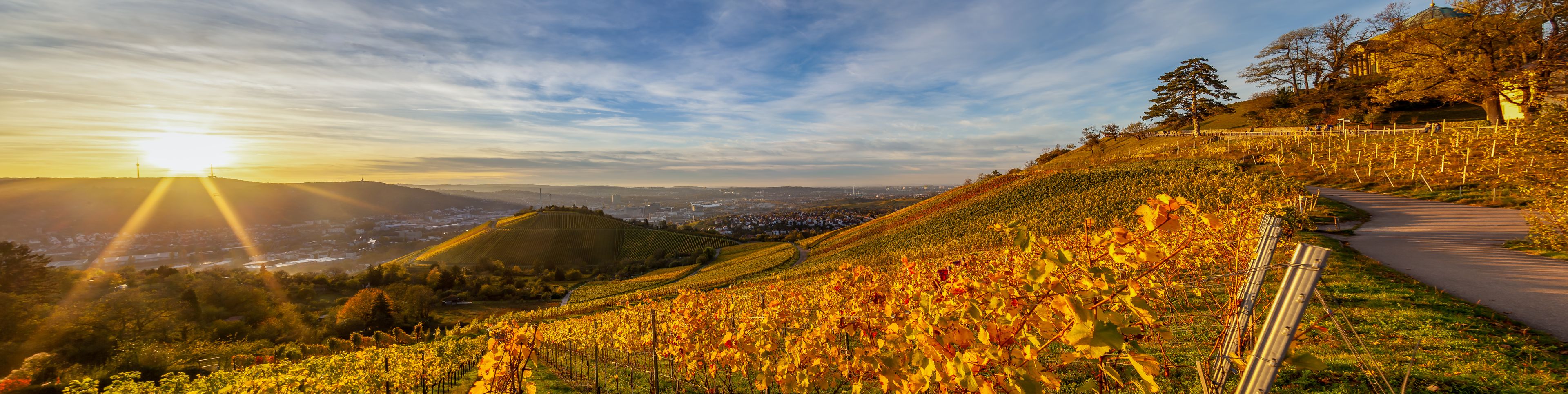 Hegnach