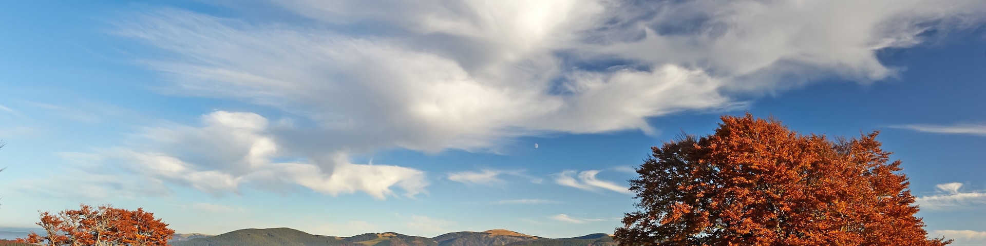 Ländliche Landschaft mit herbstlich gefärbten Bäumen, sanften Hügeln und einem kleinen Dorf in der Ferne unter bewölktem Himmel.
