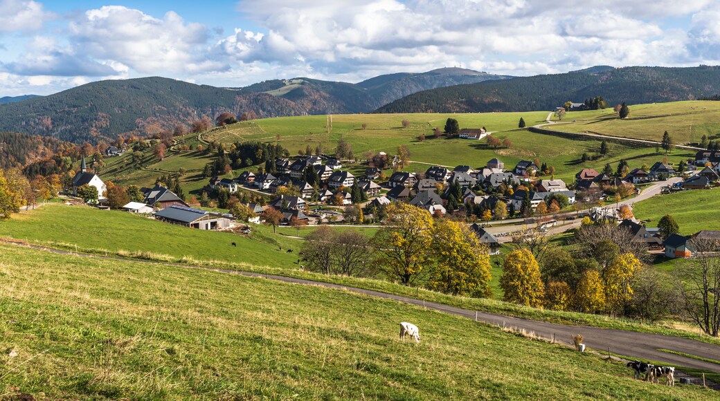 Ländliche Landschaft mit sanften Hügeln, einem kleinen Dorf und einer Kirche.