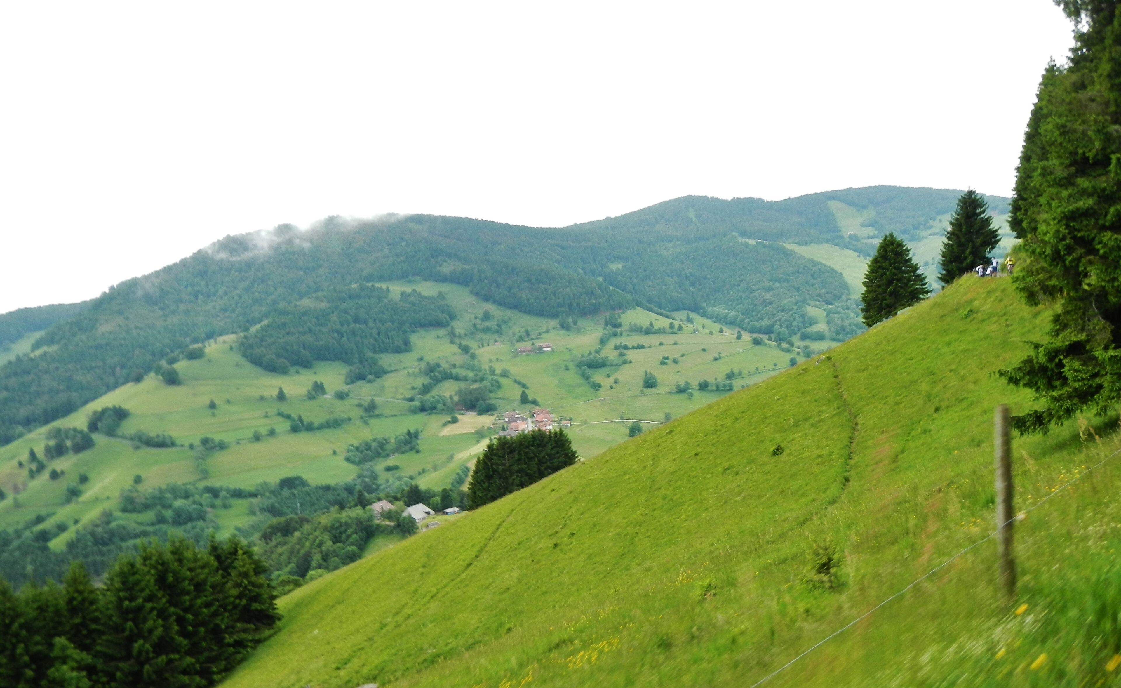Südschwarzwald