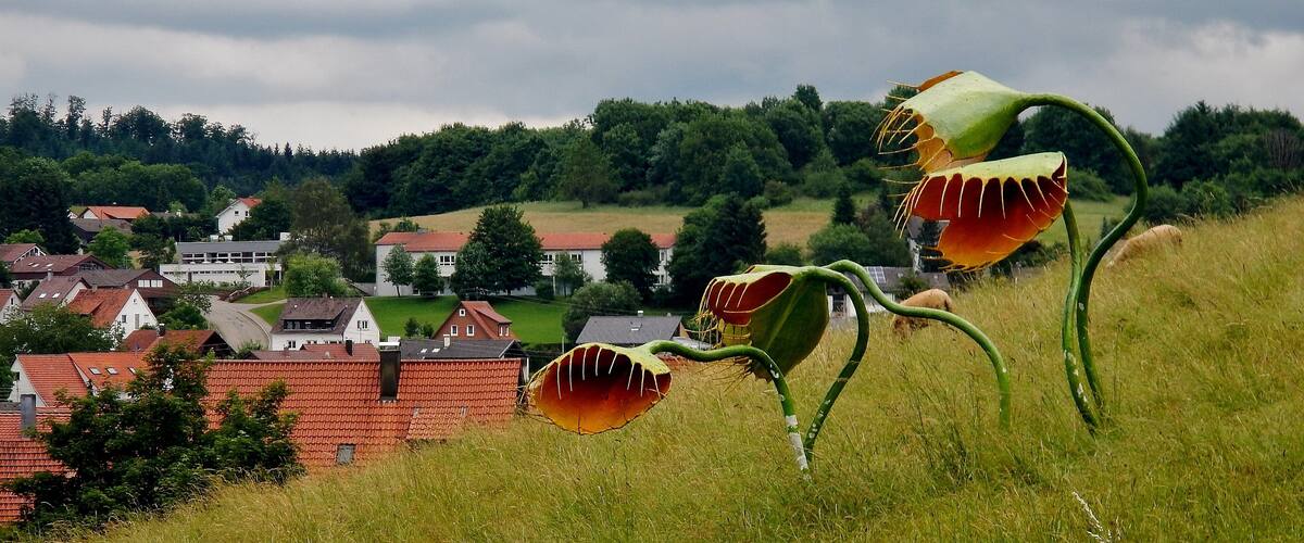 A rural landscape with a hill, houses, and poppy flowers.