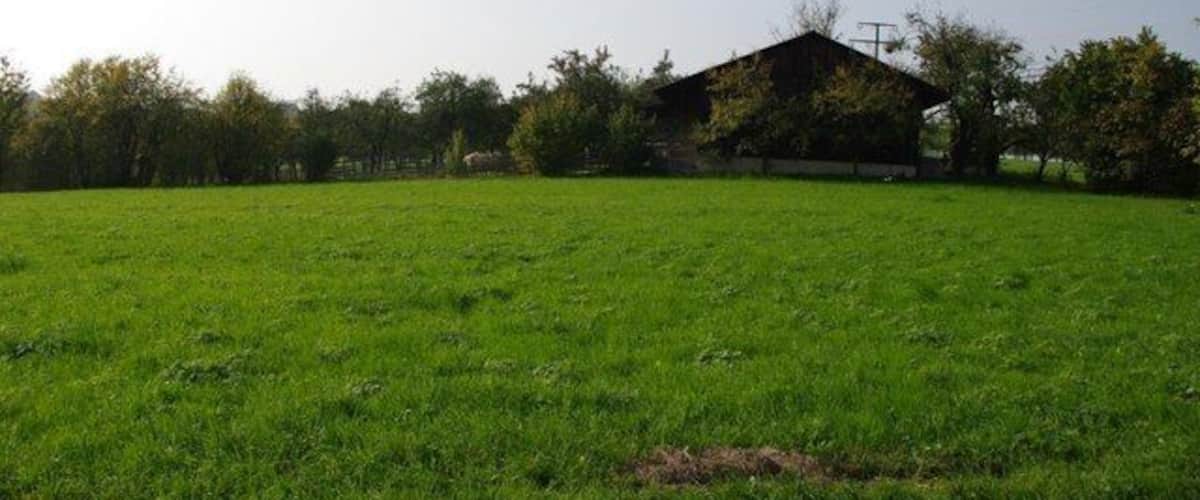 A grassy field with a building in the background.