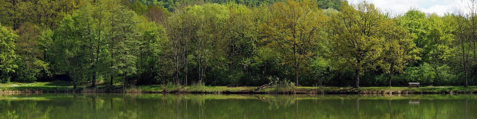 Horrheimer See 04/2015