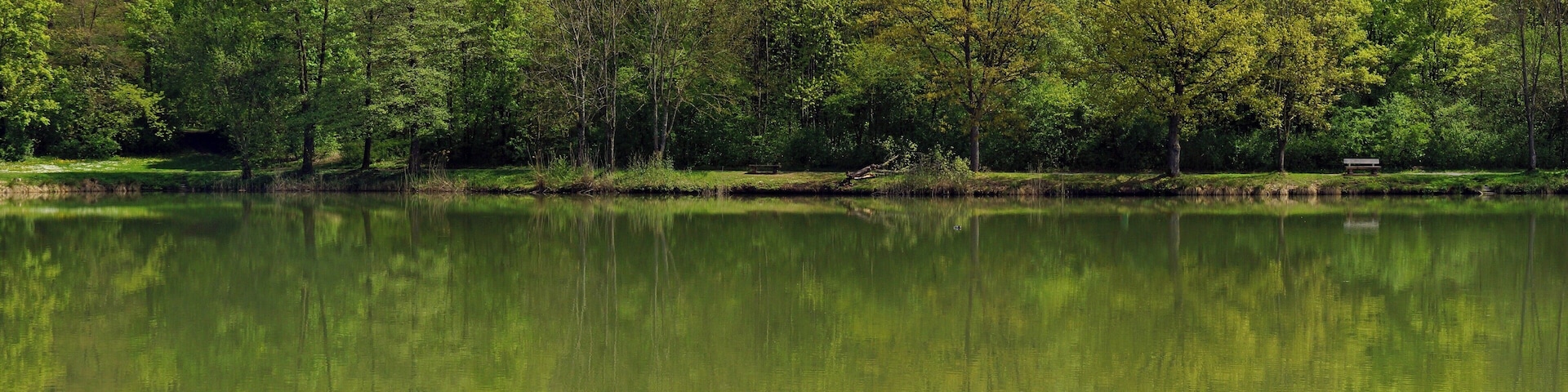 Horrheimer See 04/2015