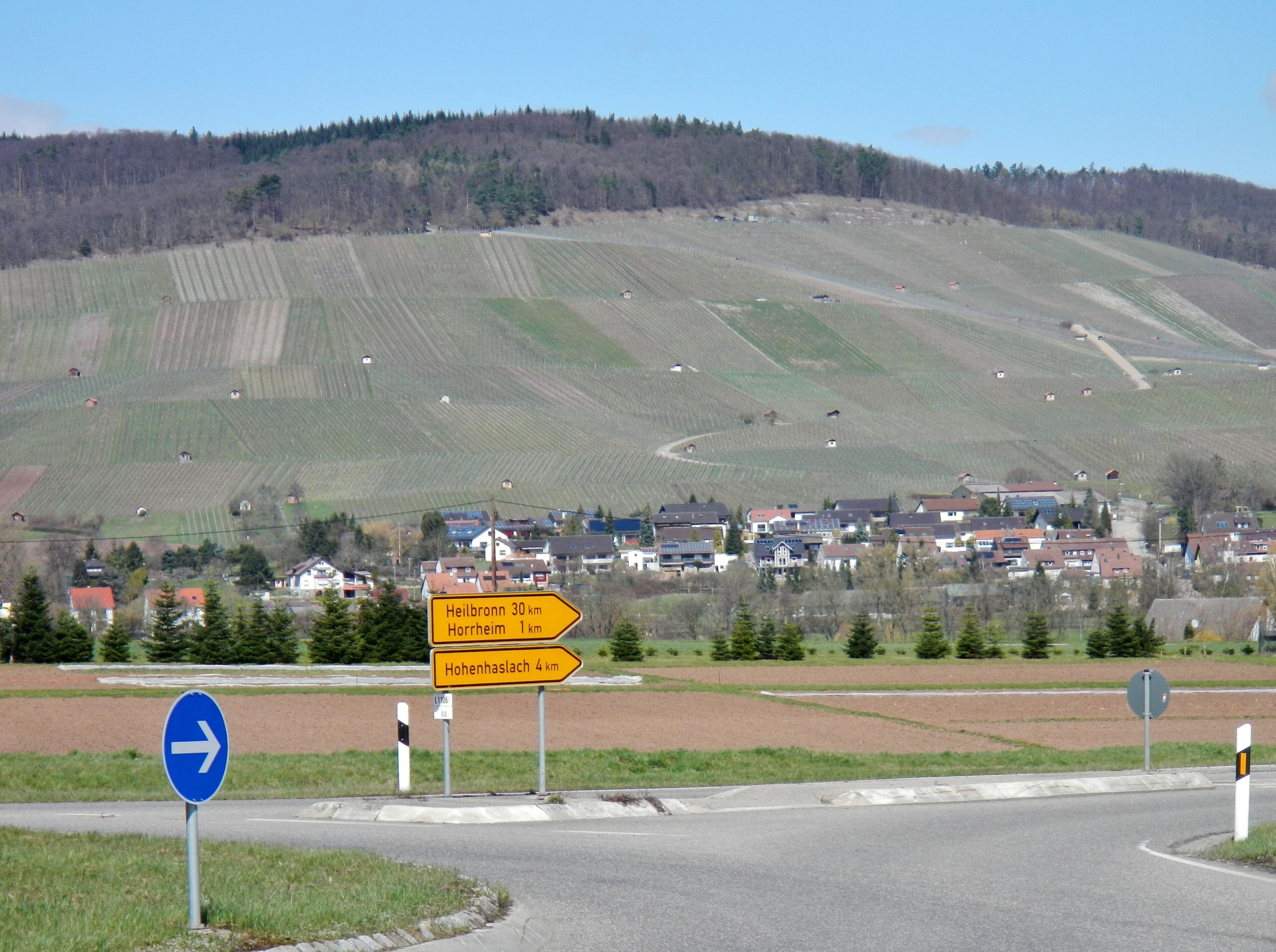 Ausblick über Horrheim zum Weinberg